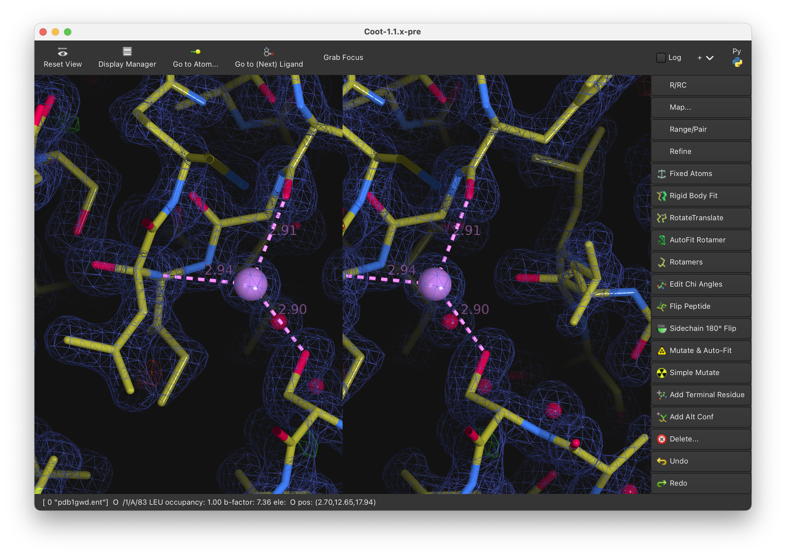 Coot Side-by-side Example 2